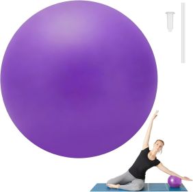 Small Pilates Ball 9 Inch Small Exercise Ball Workout Yoga Balls for Gym Yoga, Core Training, Fitness, Workout, Stability, Improves Balance Small Pilates Ball 9 Inch Small Exercise Ball Workout Yoga Balls for Gym Yoga, Core Training, Fitness, Workout, Stability, Improves Balance